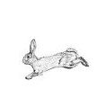 agile rabbit